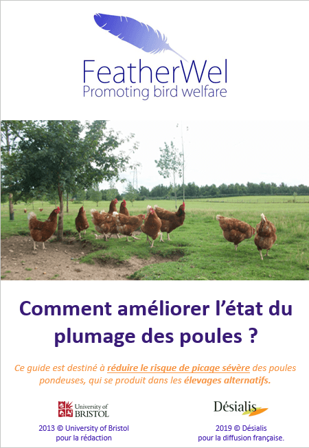 Couverture Bible Poules