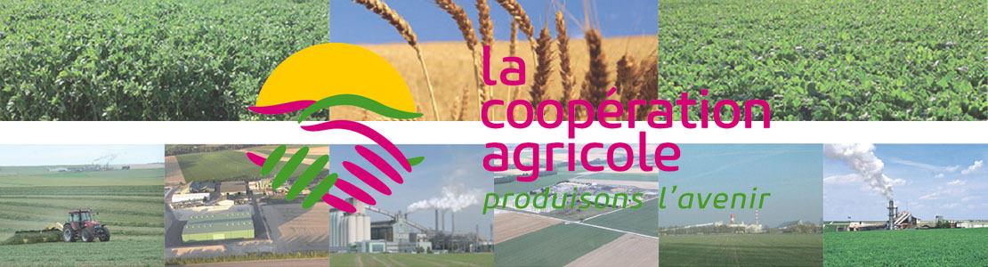 journée internationale coopératives