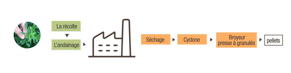 process simple pellets luzerne FR