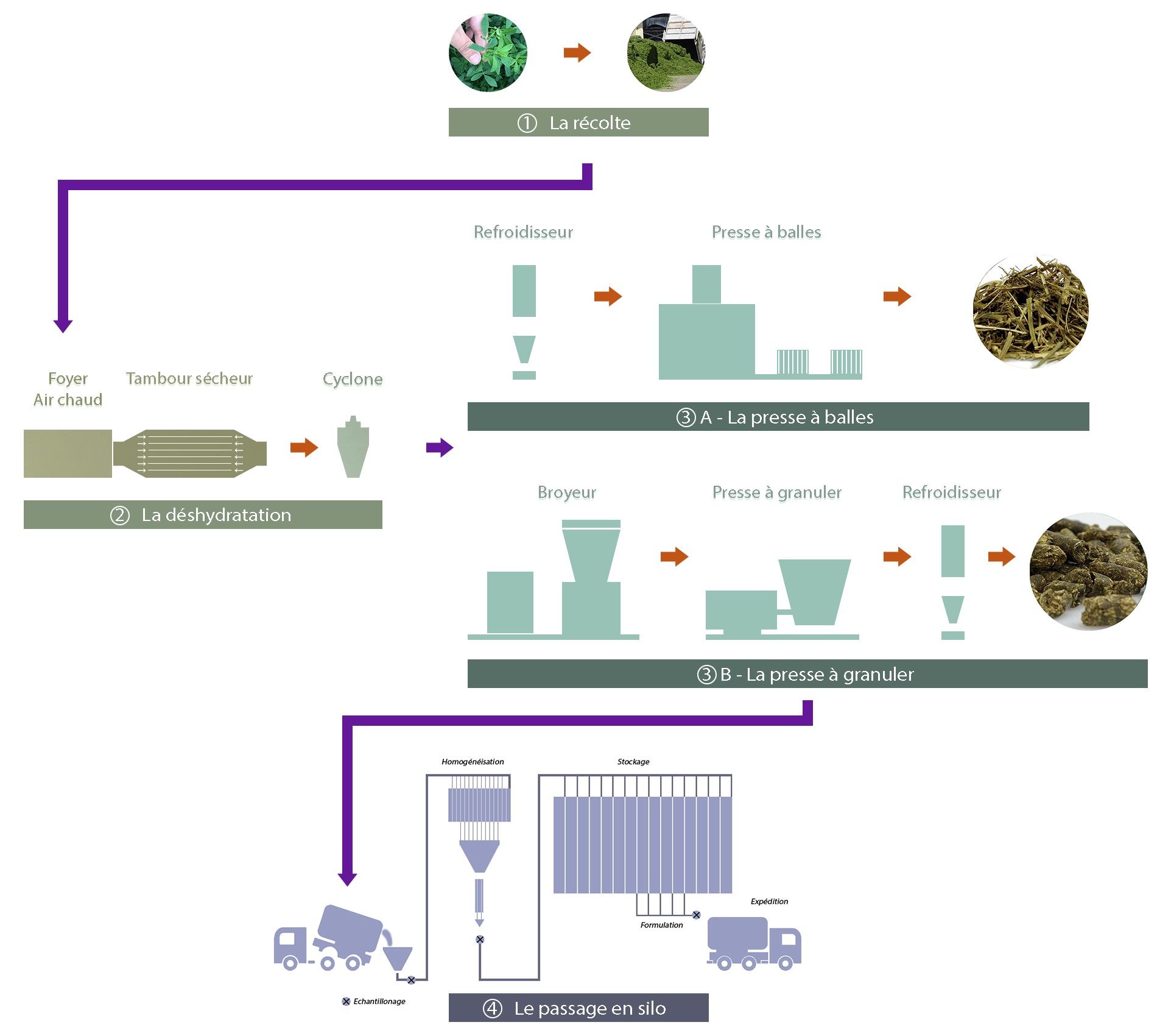 Schema Luzerne fr 2019