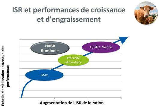 performance viande 530