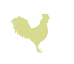 Poultry