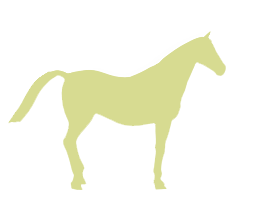 Cheval