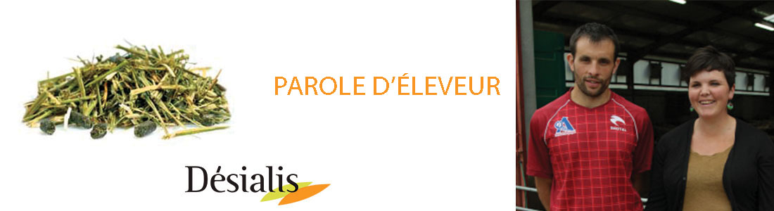 Témoignage éleveur brebis Belleau Témoignage Belleau