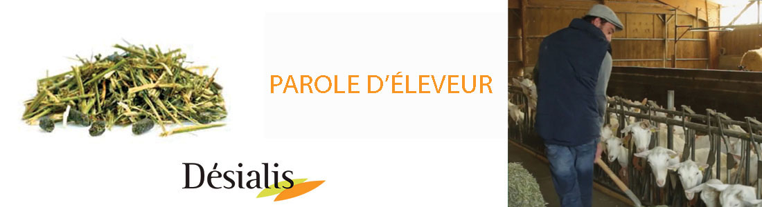 Témoignage éleveur Ragot chèvres laitières Témoignage Ragot